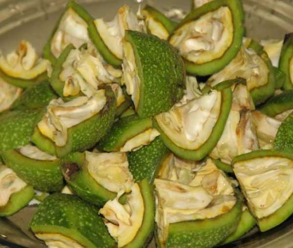 Лечение настойкой грецкого ореха зеленого