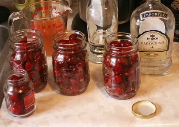 Настойка из вишни на спирту рецепт приготовления